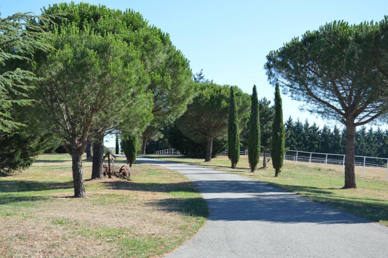 Les Hiboux Du Domaine Du Moulin Villa Etables  Bagian luar foto